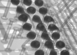 BGA-ball-grid-array-voids-misshapen-3d-image-BGA-球栅阵列空洞错位3D图像
